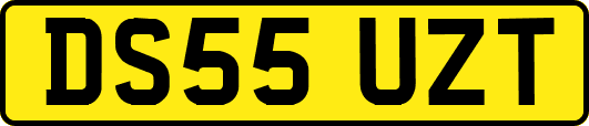 DS55UZT
