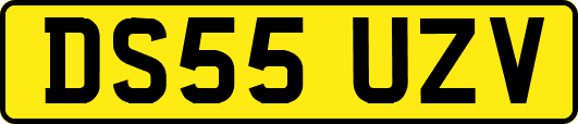 DS55UZV