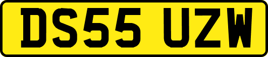 DS55UZW
