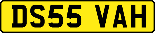 DS55VAH