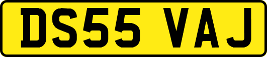 DS55VAJ