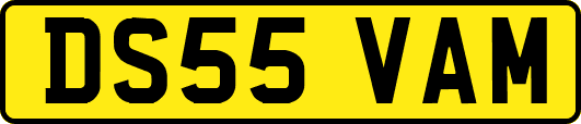 DS55VAM
