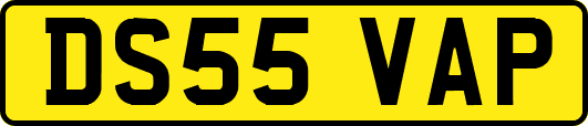 DS55VAP