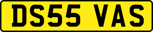 DS55VAS