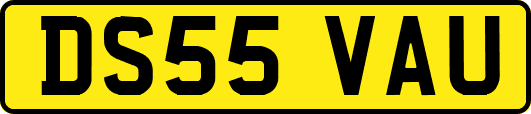 DS55VAU