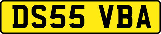 DS55VBA