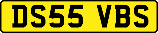 DS55VBS