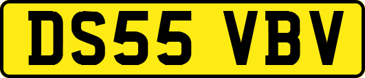 DS55VBV