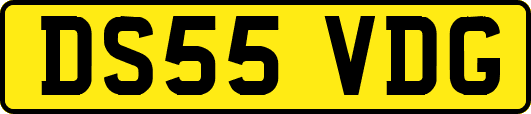 DS55VDG