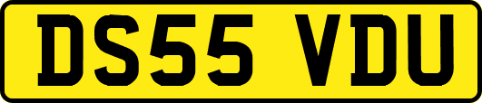 DS55VDU