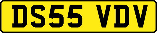 DS55VDV