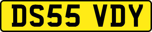 DS55VDY