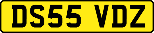 DS55VDZ