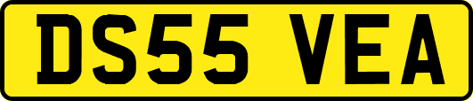 DS55VEA