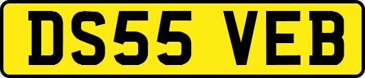 DS55VEB