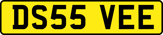 DS55VEE