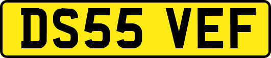 DS55VEF
