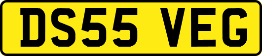 DS55VEG