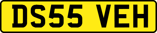 DS55VEH