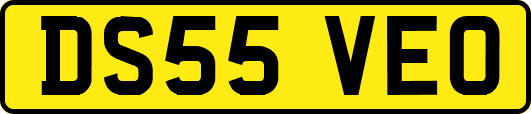 DS55VEO