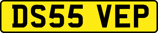 DS55VEP