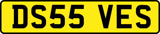 DS55VES