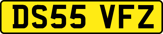 DS55VFZ