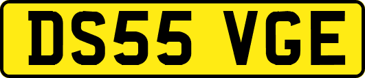 DS55VGE