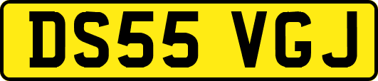 DS55VGJ