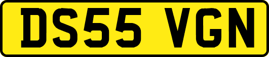 DS55VGN