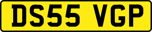 DS55VGP
