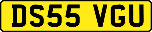 DS55VGU
