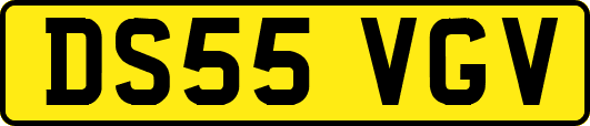 DS55VGV