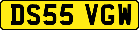 DS55VGW