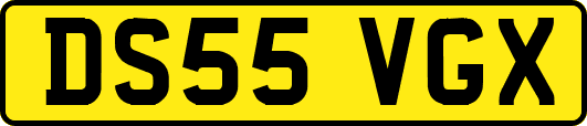 DS55VGX