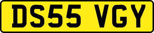 DS55VGY