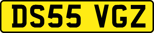 DS55VGZ