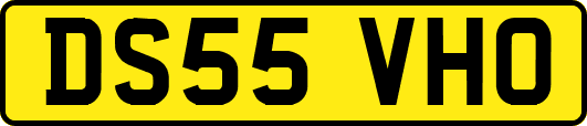 DS55VHO
