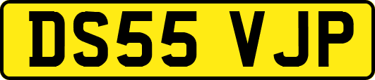 DS55VJP