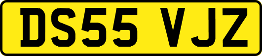 DS55VJZ