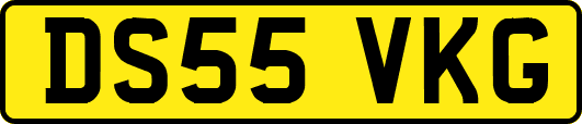DS55VKG