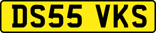 DS55VKS