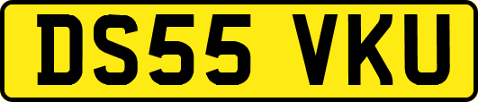 DS55VKU