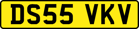 DS55VKV