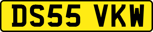 DS55VKW