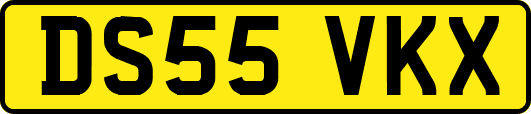 DS55VKX