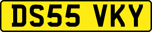 DS55VKY