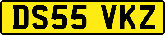 DS55VKZ