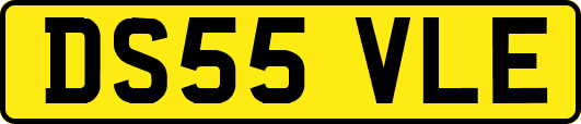 DS55VLE