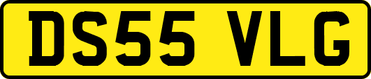 DS55VLG